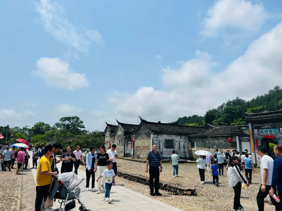 暫無圖片