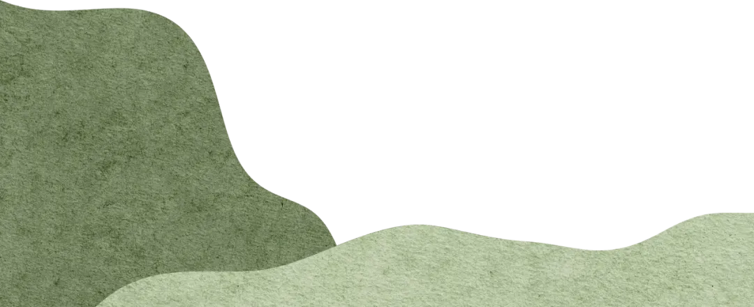 暫無圖片
