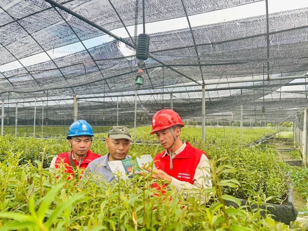 暫無圖片
