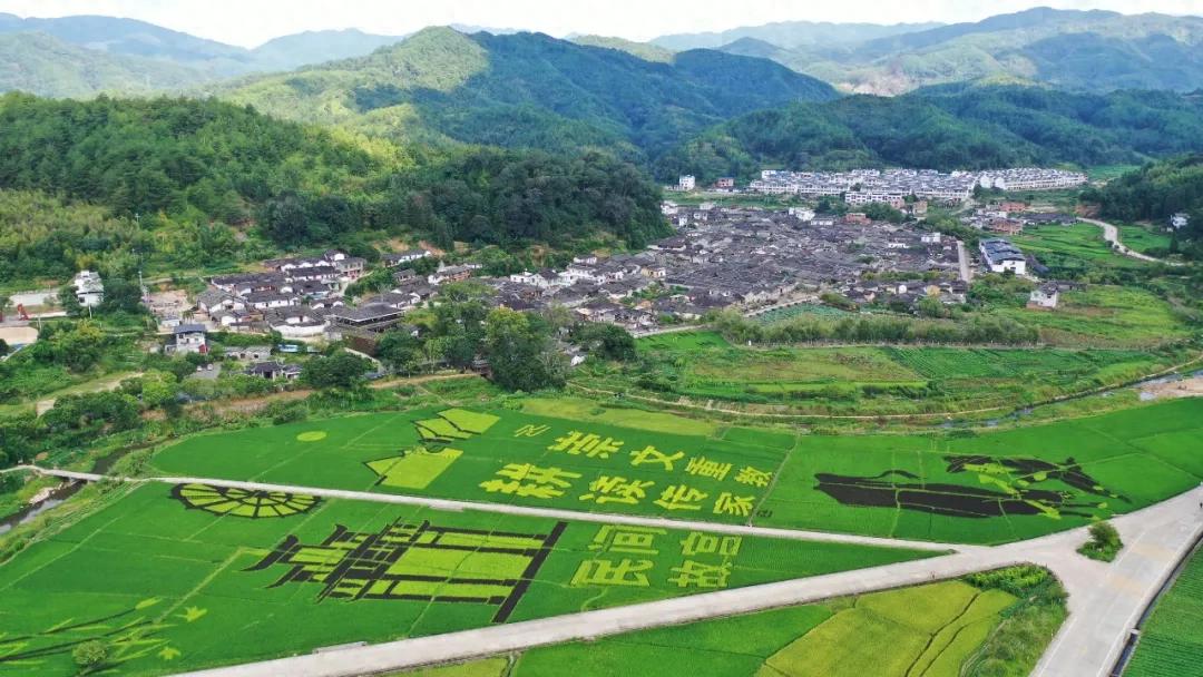 暫無(wú)圖片