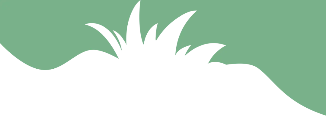 暫無圖片