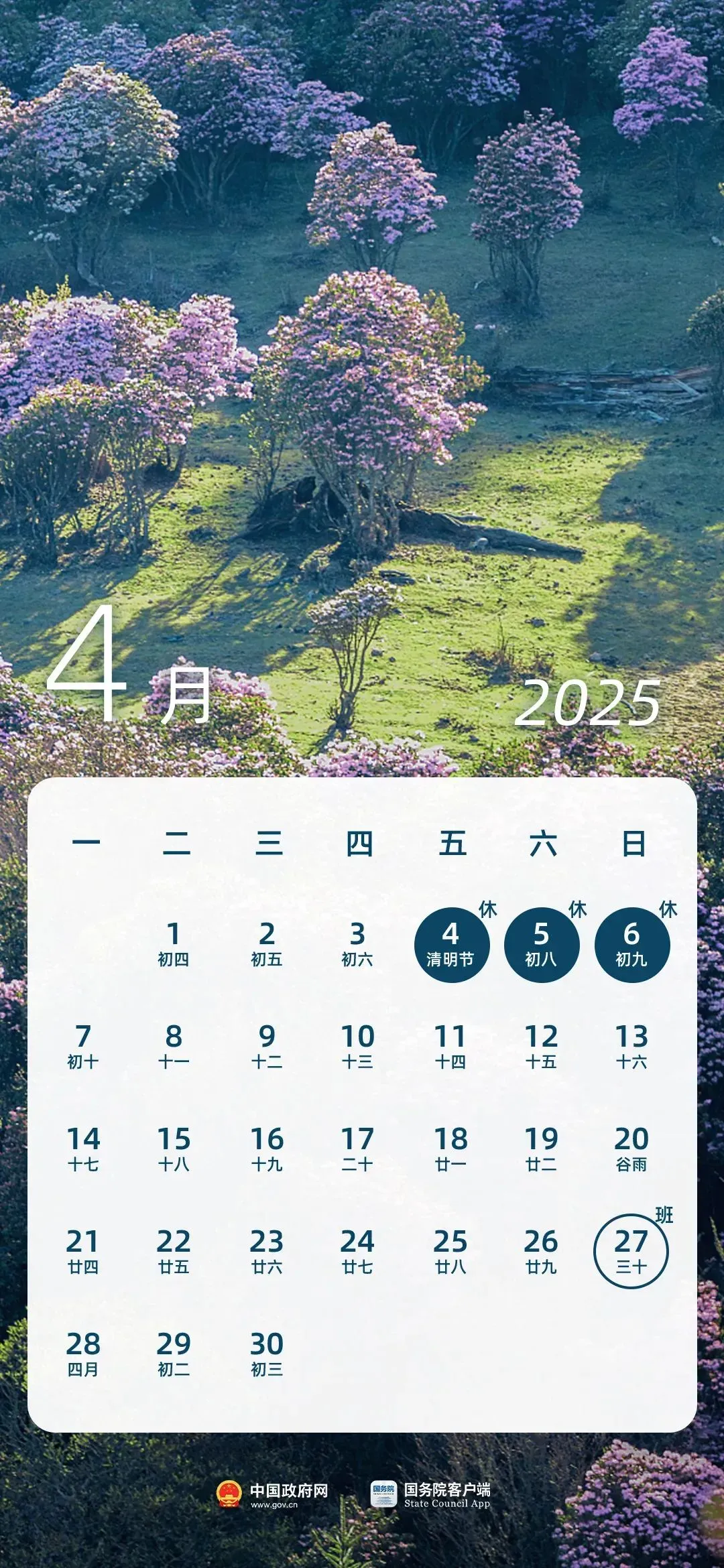 暫無圖片
