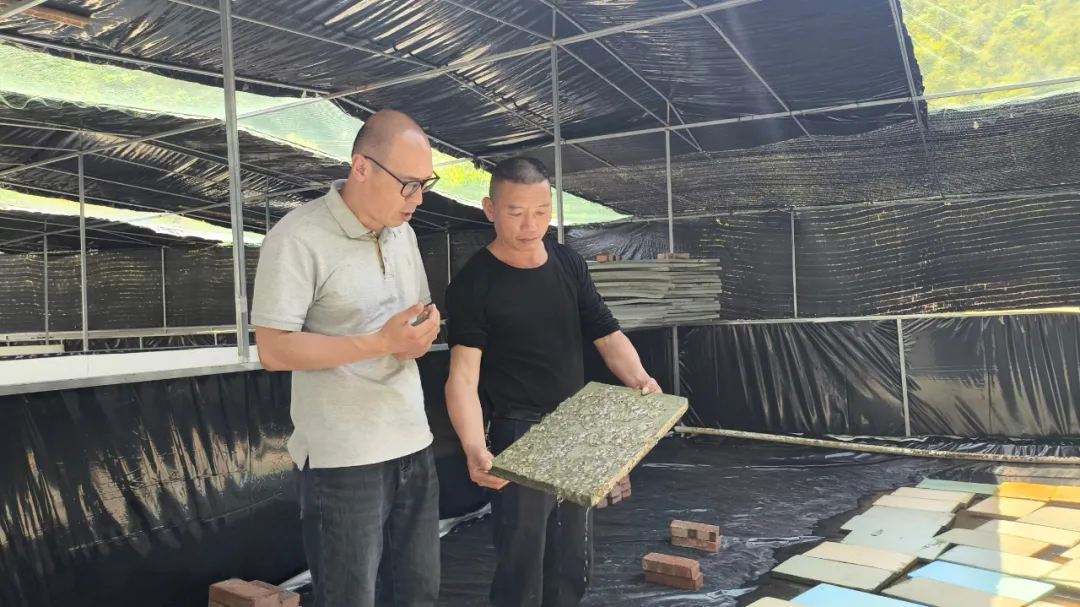 暫無圖片