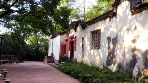 圖片