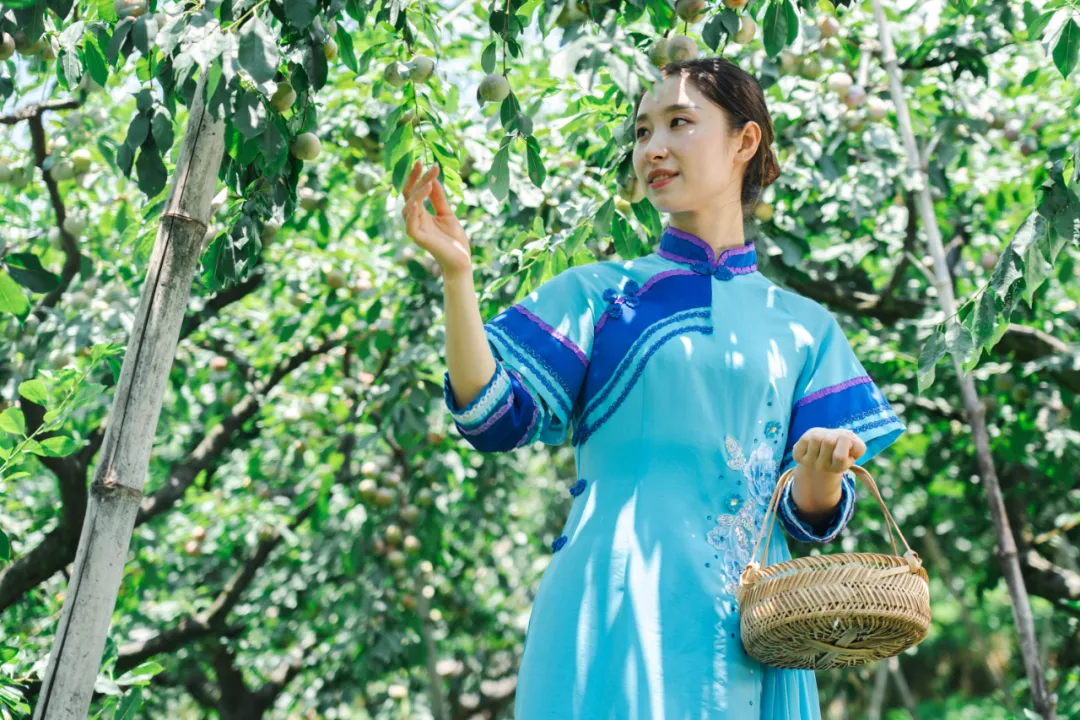 暫無圖片