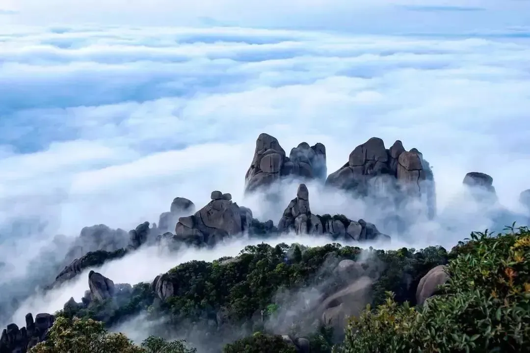 暫無圖片