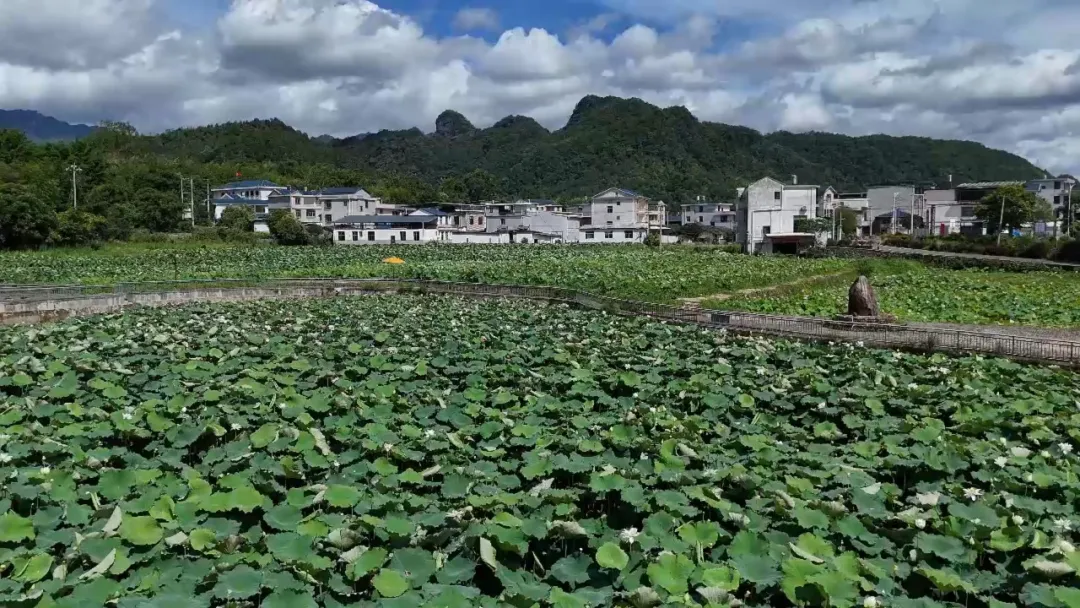 暫無圖片