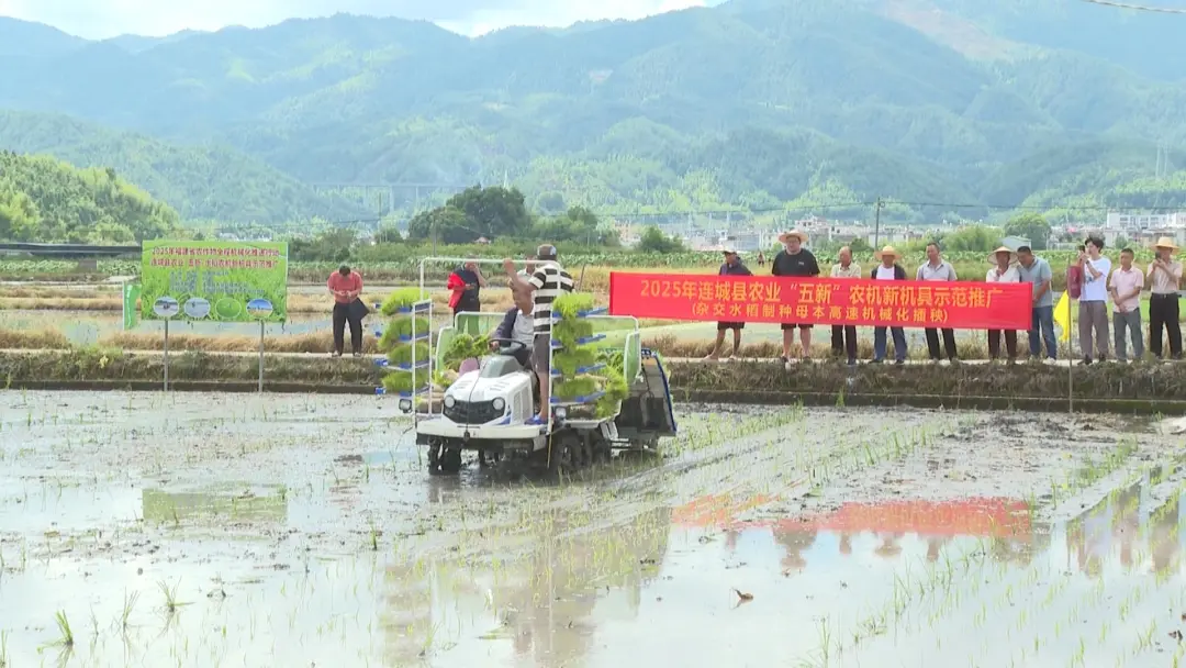 近日，連城縣在姑田鎮(zhèn)舉辦“雜交水稻制種母本高速機(jī)械化插秧”技術(shù)示范現(xiàn)場會(huì)，通過推廣新裝備和強(qiáng)化安全生產(chǎn)宣傳，為即將到來的“雙搶”農(nóng)忙筑牢基礎(chǔ)。  圖片  在示范現(xiàn)場，一臺(tái)星月神八行高速插秧機(jī)在田間高效作業(yè)，僅需約20分鐘即可完成一畝地的插秧任務(wù)，效率較傳統(tǒng)人工插秧提升約30倍。這臺(tái)專為雜交水稻制種母本量身定制的裝備，采用寬窄行栽插模式，能將每畝基本苗數(shù)精準(zhǔn)控制在1.8萬株左右。  圖片     種植大戶 江積輝： 使用制種母本高速插秧機(jī)，一畝地人工成本可以節(jié)約300元，更關(guān)鍵是機(jī)器插的株距行距精準(zhǔn)，母本抽