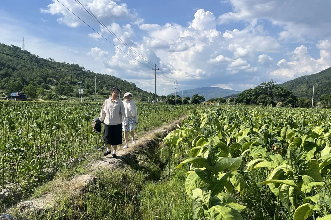 連城羅坊：學(xué)用貫通破難題 激活發(fā)展新動(dòng)能
