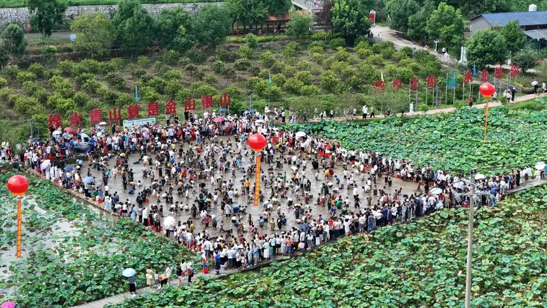 暫無圖片