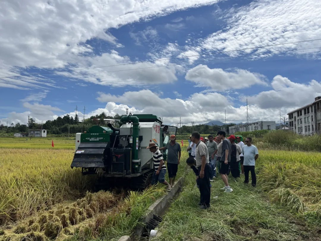 連城：舉辦2025年高素質(zhì)農(nóng)民糧油作物專題培訓班