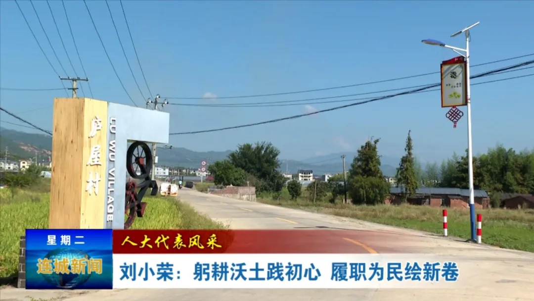 【人大代表風采】劉小榮：躬耕沃土踐初心 履職為民繪新卷