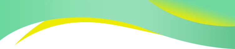 連城：樂地村800年古桂花開滿枝香