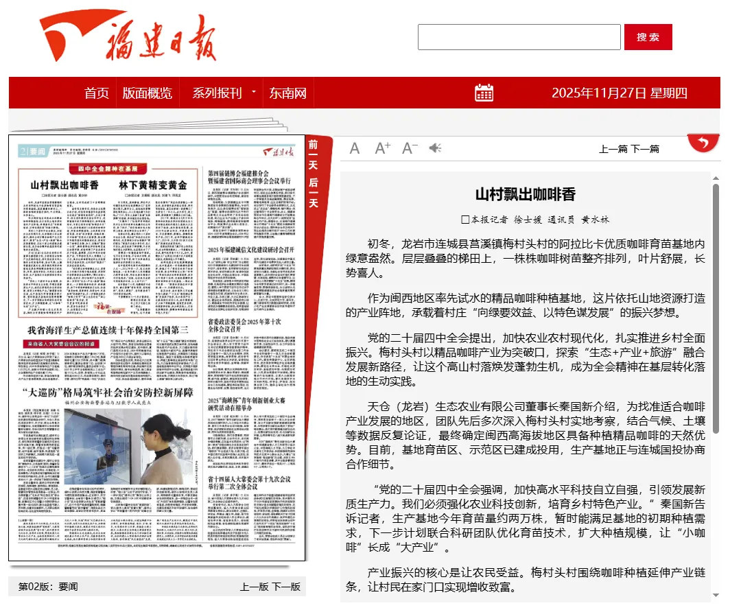 【主流媒體看連城】《福建日報(bào)》報(bào)道！山村飄出咖啡香