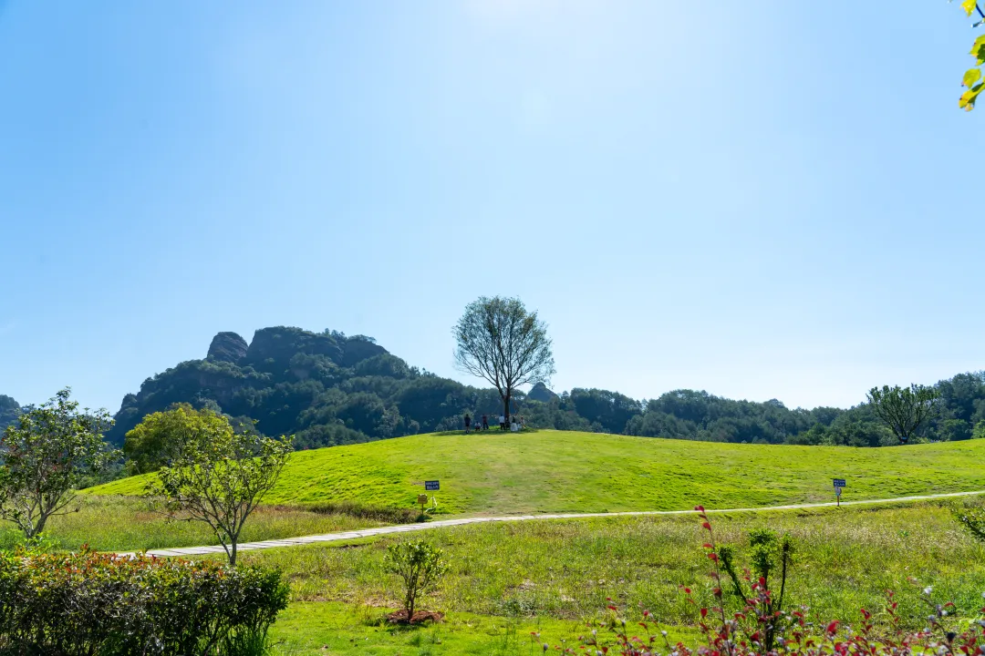 連城：彩票公益金賦能民生文旅 非遺生態融合煥發新活力