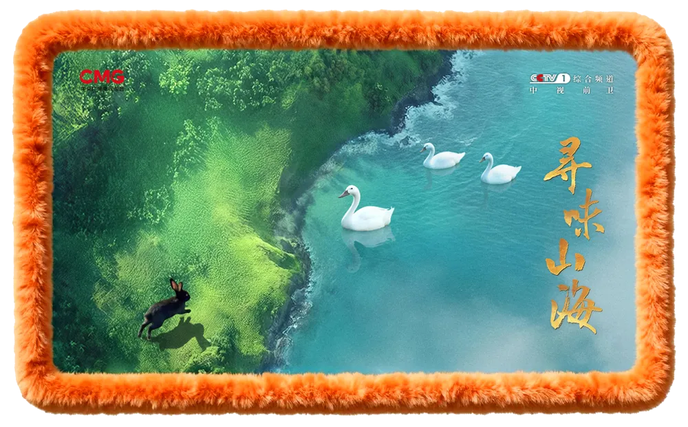 鎖定本周日18：20！跟著央視《尋味山海》，解鎖連城白鴨的風(fēng)物故事